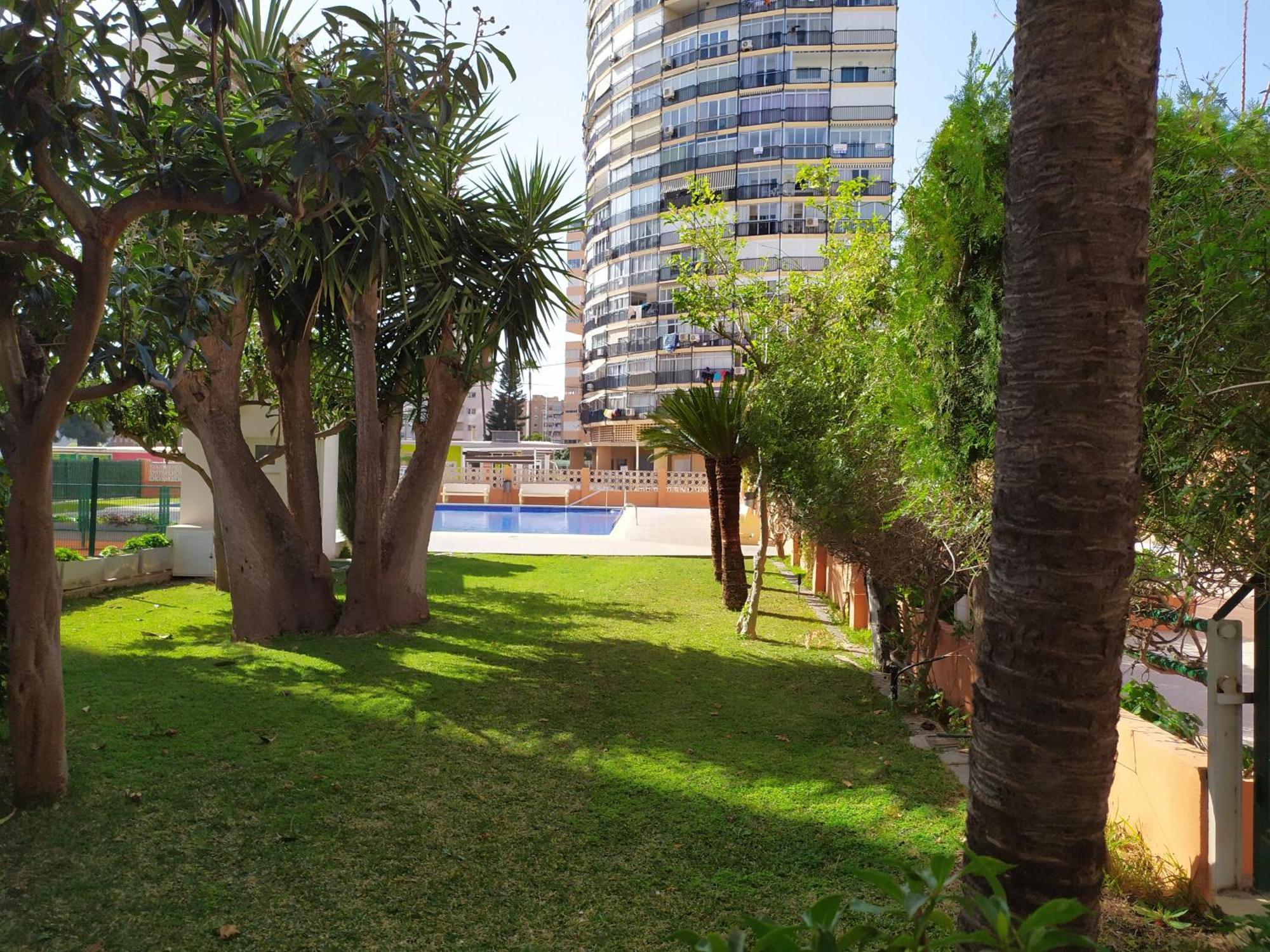 Estudio Reformado Y Centrico Con Piscina Y Wifi Acepta Mascotas Benidorm Esterno foto